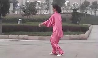 陈氏太极拳老架二路