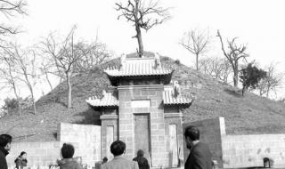 淮阳太昊陵大殿什么时候开放 周口淮阳太昊陵