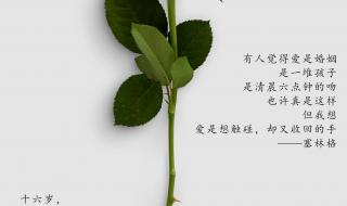 两个人还在一起的情人节文案 情人节文案发朋友圈