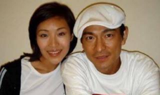 刘德华干过赖文慧吗