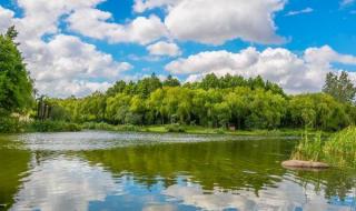 新江湾城湿地公园