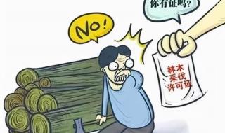 现行土地法什么时候实施的 新土地法实施时间