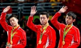 樊振东世界冠军数量