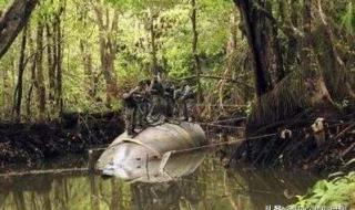 厄瓜多尔是哪里的国家