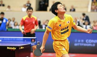 世乒赛男单8强名单